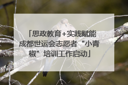 思政教育+实践赋能 成都世运会志愿者“小青椒”培训工作启动